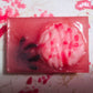 Spider Brains Bar